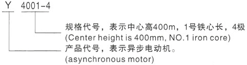 西安泰富西玛Y系列(H355-1000)高压YR4506-6/400KW三相异步电机型号说明